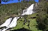 Ein NINA-rapport frå 2019 dokumenterer funn av fleire trua moseartar ved Svandalsfossen. Statsforvaltaren krev kartlegging av naturmangfaldet også lenger oppe i vassdraget, i samband med at det nå skal utarbeidast ein områdeplan i Svandal.