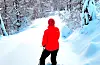 Det er vakre omgivelsar og godt med snø her i Nordstøldalen, men dei preparerte skispora manglar.