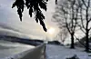 På tur i båthamna tysdag 30. januar, litt sol.
