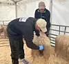 Torbjørn Nordmark (til venstre) vurderer kvaliteten på vêren til Kjell Idar Rafdal.