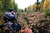 Naturvernforbundet meiner at hjortebestanden, som no tel rundt 250.000 dyr, er ute av kontroll. Dei ønskjer å redusere bestanden kraftig.