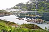 Svartavatnet ligg ved Fylkesveg 520 mellom Sauda og Røldal.