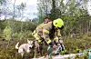 Endeleg oppe. Ein glad hund saman med brannmannskapet Roy Inge Hansen og Jan Atle Thomassen.