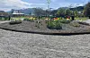 Sneath´s park mot snødekte fjell ein flott vårdag.