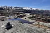Fin lørdagstur til Holmavassheia med utsikt mot Skaulen.