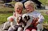 – To fine jenter og to fine kje. Systrene Emily (til venstre) og Amelia Vatle Jordal held dei yngste bebuarane til Andedammen. Kjea er fødd 6. april. Dei kjem på plass når det er grønt gras', skriv fotografen.