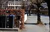 Trer og hekkar reduserer sikten i Åbødalsveien. Sauda kommune ønsker å gjere vegen meir trafikksikker.