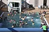 Utebadeanlegget blir sett på som viktig for både barn og unge og for attraktiviteten til Sauda som bustad og turistmål. Partia Sp, Ap og KrF er einige om å skjerma badeanlegget i den pågåande kuttprosessen. Arkivfoto.