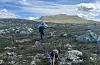 Hardangervidda øst, Telemark. Ein flott tur utan merka sti, bare urørt og nydelig natur. I bakgrunnen er Tinden på 1399 moh.