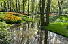 Den kjende parken Keukenhof i Holland.