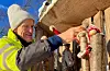 Per Inge Fjellheim pyntar og gjer klart til fredagens julesti mellom Risvoll og Eventyrskogen.