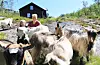 Stina Fosen og dottera Ida da avisa Ryfylke besøkte dei sommaren 2021. Arkivfoto.