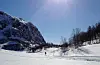 Ei kvinne i femtiåra fekk bittskadar i legg og hand etter at ho blei angripe av ein hund i skisporet i Åbødalen onsdag ettermiddag.