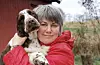 Hundeekspert Anne Buvik seier at rasen siberian husky har eit utprega jaktinstinkt, men ho meiner det ikkje er grunn til å frykte angrep på menneske frå denne rasen.