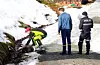 To sauer måtte avlivast etter å ha blitt skamferte av hundar ved Risvolltunet måndag føremiddag.
