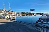 Flott ettermiddag i Tananger havn.