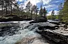 Svandalselva 3. mai.