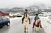 Alma Birkeland på fjordhesten Frøya (3) og Valentina Hindrumsen Guindani på shetlandsponnien Cindy (17) er eit kjent syn i birkelandsområdet. Nå ber dei bilistar visa omsyn når dei skal passera kvartetten.