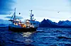 Skreifiske utanfor Gryllefjord på utsida av Senja.